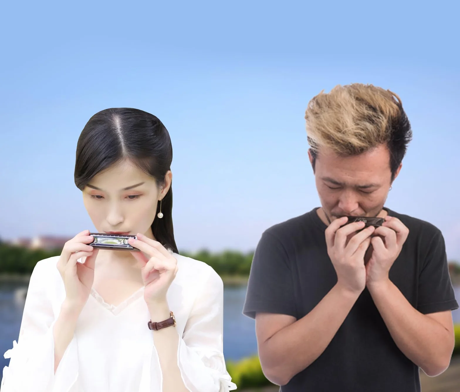Rayzm Harmonica Harmonijka ustna, 10 otworów, 20 tonów, klawisz C, Blues Harp, dla dorosłych i dzieci, responsywna harmonijka z brązu fosforowego, grzebień z żywicy